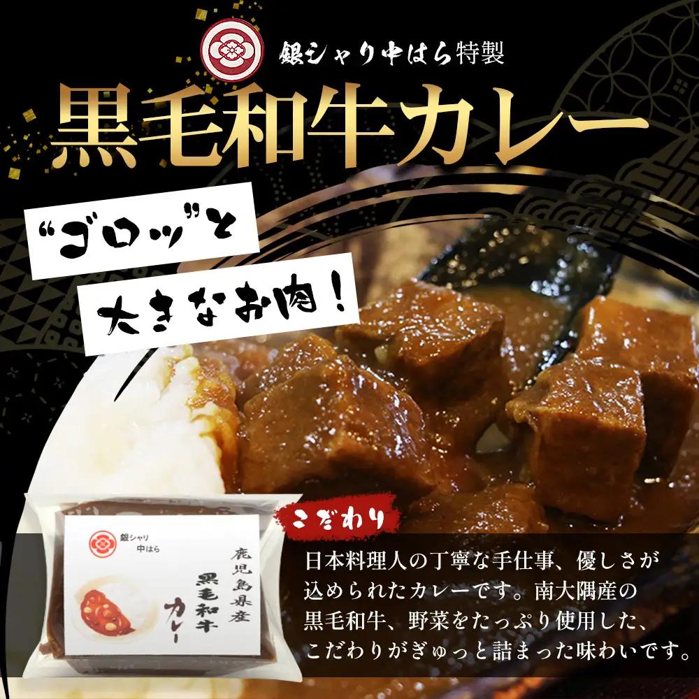 ［2種類］＼日本料理人の手作り／ 鹿児島県産 黒毛和牛レトルトパック 2種セット ≪合計6パック≫ カレー（240g×3パック）/すじカレー（240g×3パック） GN-7｜鹿児島県 南大隅町 あたた