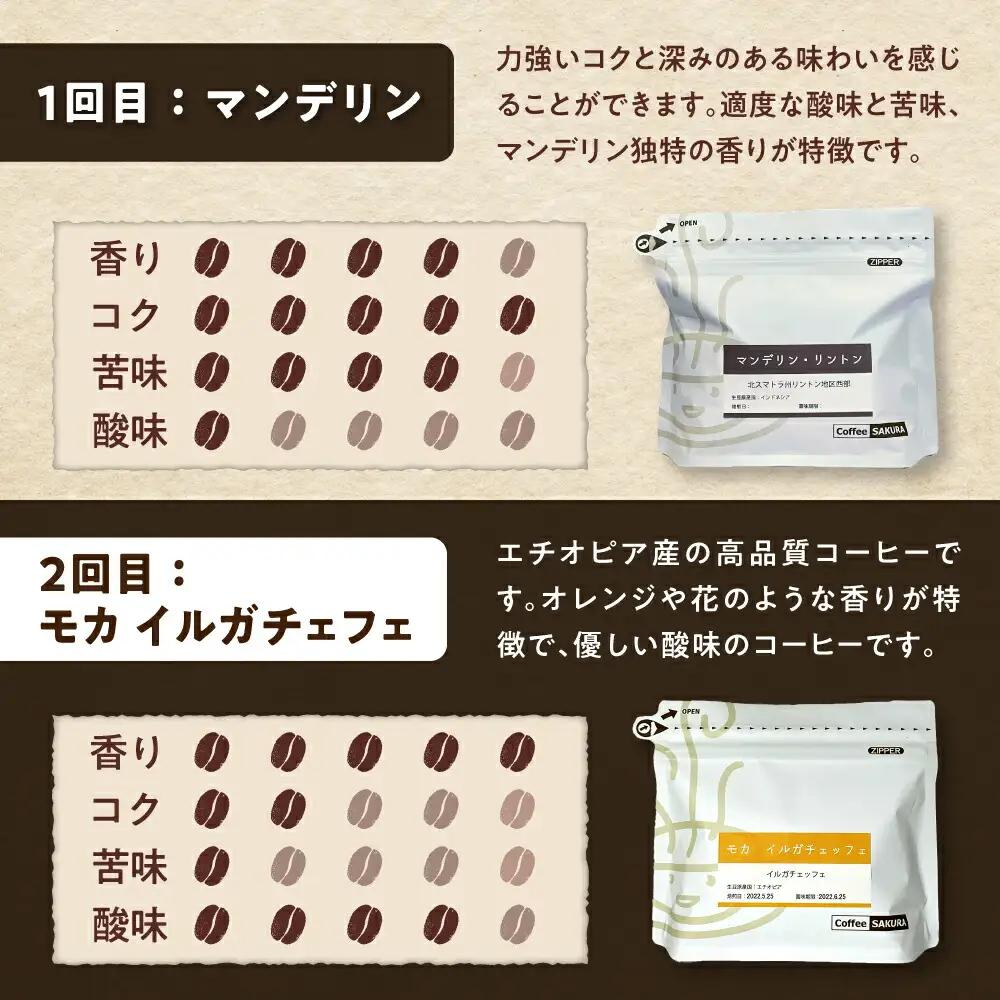 【全6回定期便】世界のコーヒー豆 満足便(豆) / 珈琲 コーヒー / Coffee SAKURA[BBAB152]