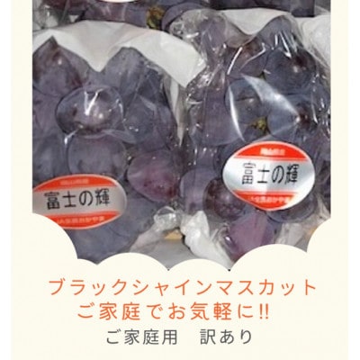 ご家庭用(訳あり) 岡山県産 ブラックシャインマスカット 2-4房(約1kg)【配送不可地域：離島】