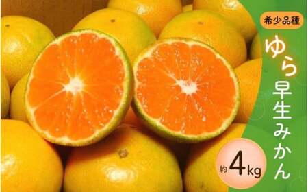 濃厚な味わい ご家庭用 ゆら早生みかん　約4kgサイズ混合【10月上旬より発送】希少品種《有機質肥料100％》※2025年10月上旬より順次発送予定【nuk162A】