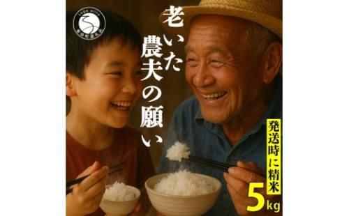 ＜予約受付＞10月下旬より順次発送「老いた農夫の願い」佐賀県 ヒノヒカリ 米 5kg【みゆきファーム】ブランド米 精米済み 白米 有田町 令和8年産 新米 ft004