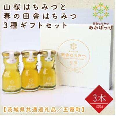 ふるさと納税 水戸市 山桜はちみつと春のはちみつの3種ギフトセット【R3山桜】【茨城県共通返礼品/五霞町】