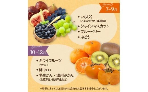 何が届くかお楽しみ！むなかた旬のフルーツ福袋セット