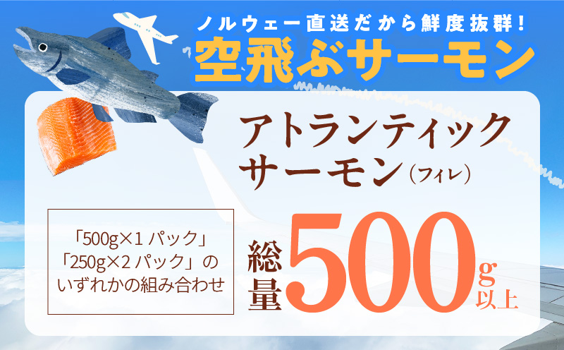 【無地熨斗】アトランティックサーモン 総量 500g以上【フィレ エコパック 訳あり サイズ不揃い 刺身 さーもん 冷凍 北国からの贈り物】 099H3605-1