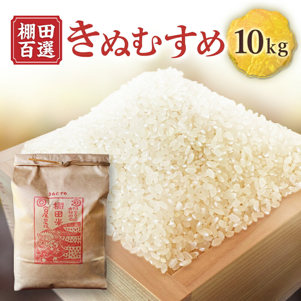【ふるさと納税】棚田百選 大垪和西棚田米 10kg きぬむすめ 精米 棚田米 米 お米 白米 10キロ 岡山県 美咲町 送料無料