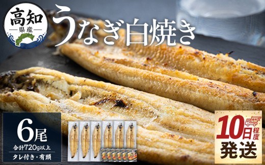 【10日程度で発送】高知県産鰻の白焼き120～130ｇ 6尾 蒲焼きのタレ6袋 エコ包装 yw-0129