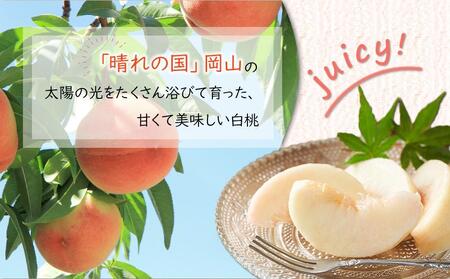 岡山県産 桃 岡山白桃 2024年 先行予約 エース 約4kg（8～16玉）早生種・中生種 もも モモ フルーツ 果物 ギフト