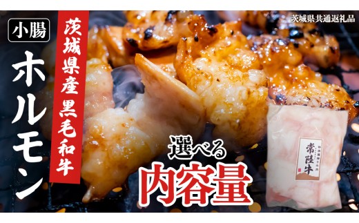 
                  ＼選べる内容量／【茨城県産】 黒毛和牛 小腸 400g 800g 1.2kg  (茨城県共通返礼品) 国産 牛肉 肉 お肉 ホルモン もつ 和牛 小腸 ホルモン 味付き 味付ホルモン タレ漬け 焼肉 BBQ 小分け 冷凍 料理 簡単
                
