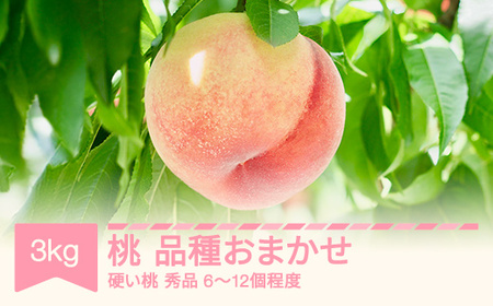 【先行予約】白桃 硬い 品種おまかせ 秀品 3kg 令和7年産 2025年産 ※沖縄・離島への配送不可 sb-mohth3