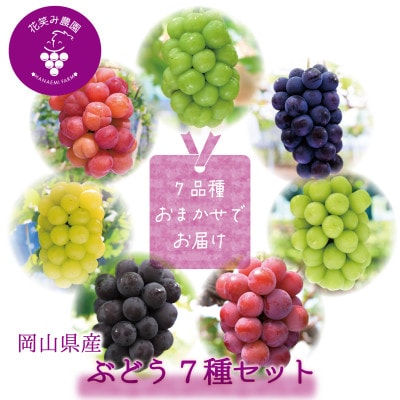 岡山　花笑み農園のブドウ『食べ比べ7種セット』　7M-5　【9月下旬～順次発送】【配送不可地域：離島・北海道・沖縄県】
