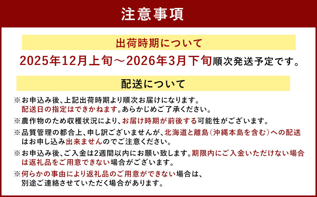 あまおう＆ふくや 味の明太子 290g セット