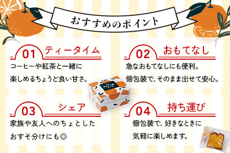 【鹿島高校 共同開発返礼品】SAGAみかん、っ娘。ケーキ 4箱（合計16個入り）B-860 スイーツ ケーキ 焼き菓子 焼菓子 みかん ミカン 蜜柑 みかんケーキ ミカンケーキ お土産 ご当地スイーツ