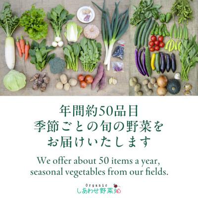 ふるさと納税 掛川市 【毎月定期便】しあわせ野菜畑の有機野菜　Lセット　(安心の有機JAS認証　オーガニック野菜)全12回 |  | 03
