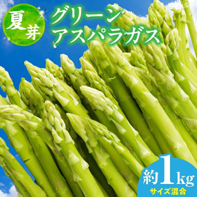 【ふるさと納税】【夏芽】グリーンアスパラガス　サイズ混合約1kg　アスパラ グリーンアスパラガス アスパラガス 夏芽 おすすめ 混合 シャキシャキ 野菜 冷蔵 新鮮 新鮮野菜 香川県 国産 三木町 おすすめ