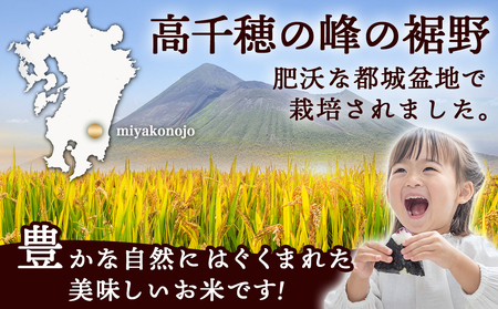  ★10月発送 都城産ひのひかり10kg(5kg×2袋)≪令和6年産新米≫_18-1502_(都城市) 令和6年産 新米 都城産 お米 10kg ひのひかり