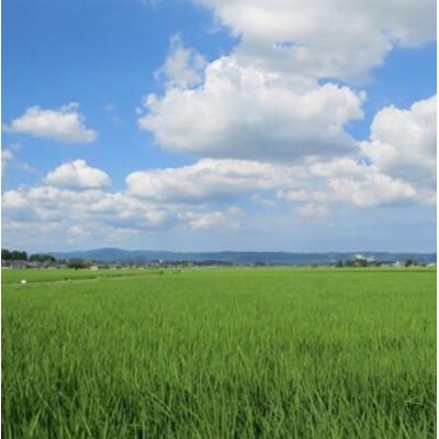 ふるさと納税 常陸太田市 【毎月定期便】黄門米特別栽培米コシヒカリ白米5kg×1袋全6回 |  | 02