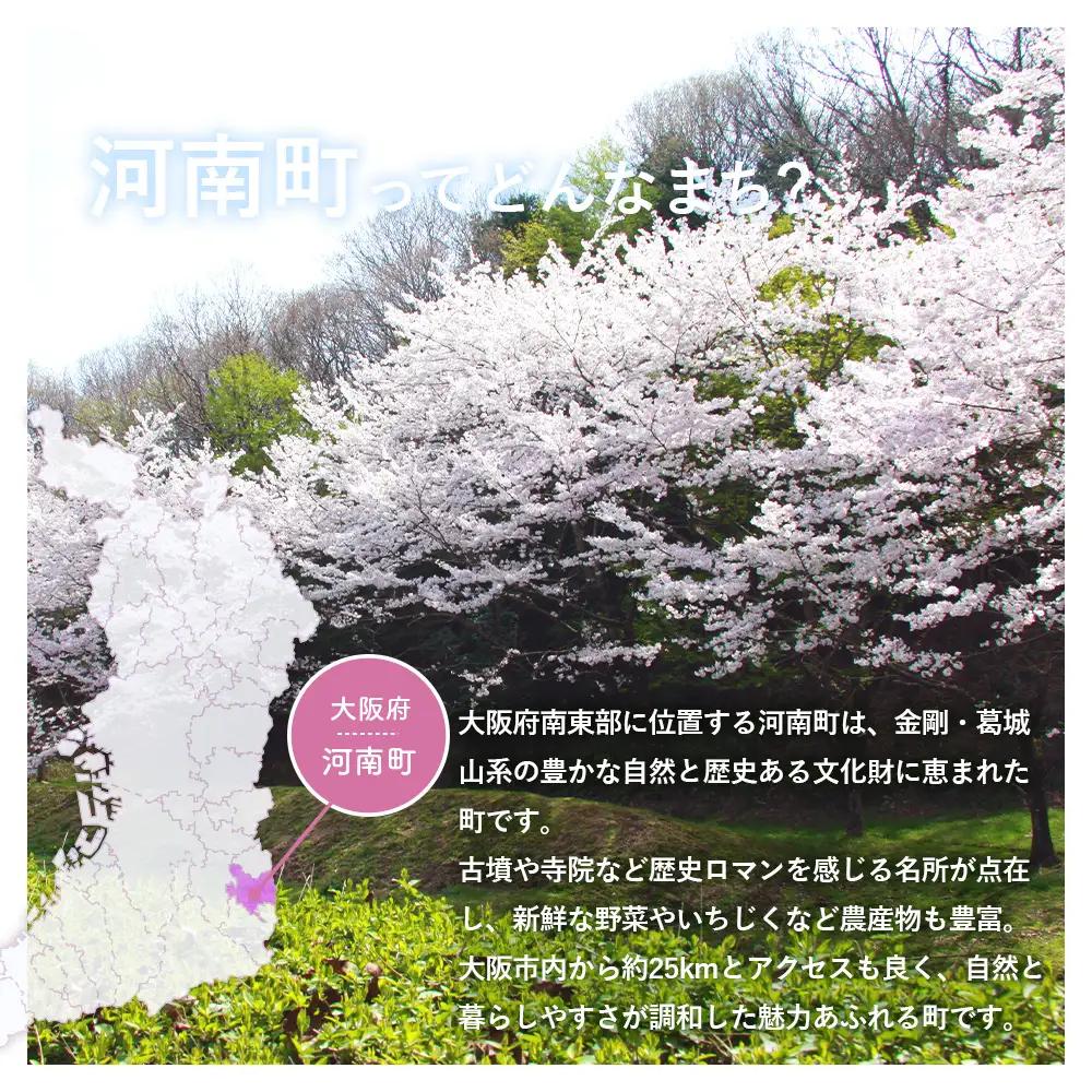 （12個セット）河南町の果物や野菜を使用した季節のジェラート詰め合わせ No.373