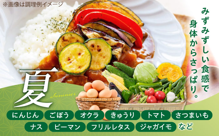 【全3回定期便】【数量限定】新鮮たまごと旬の野菜セット(野菜7~8品程度＋40個) / たまご 生卵 タマゴ 詰合せ セット 熊本県 特産品【有限会社さんふれあ】 [BHAK009]