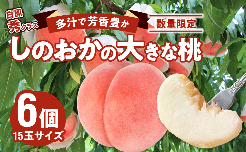 【数量限定】 しのおかの大きな桃(白鳳・秀クラス）[017O01]