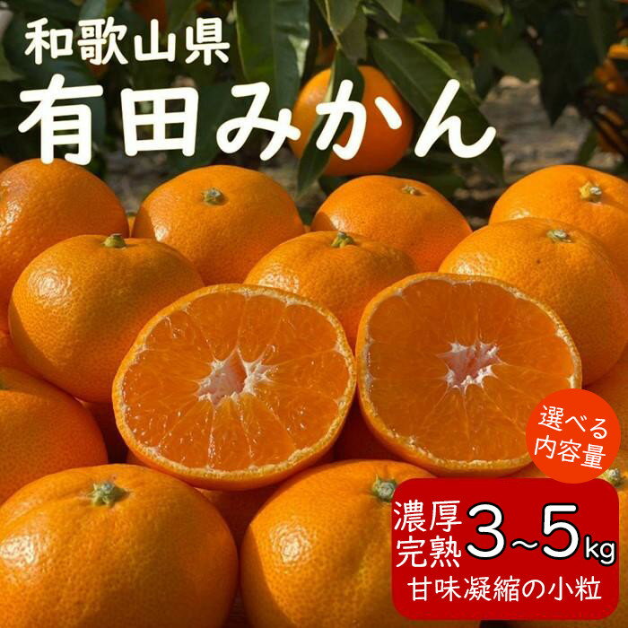 【ふるさと納税】【選べる内容量・3kg または 5kg】先行予約 和歌山県 有田みかん ひとくち 甘味凝縮 極小粒 産直44年 5代目 武内園 完熟蜜柑 | 有田みかん みかん ミカン mikan 有田 有田川 ありだ 和歌山 送料無料 フルーツ 果物 オレンジロード 本場 甘い 濃厚 コク 糖度