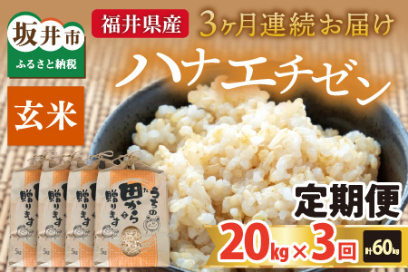 【先行予約】【令和8年産・新米】定期便 ≪3ヶ月連続お届け≫ ハナエチゼン20kg×3回 計60kg（玄米）【2026年9月上旬以降順次発送予定】 [K-8909_02]