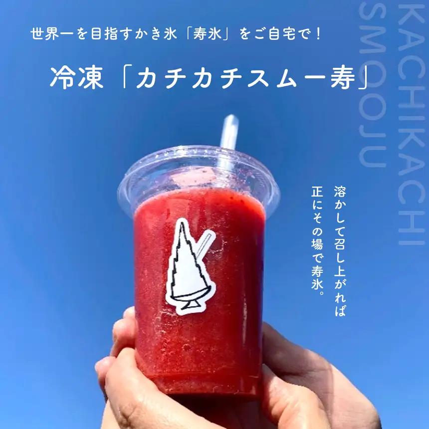 寿氷 スタンダード フルーツ 6種類 