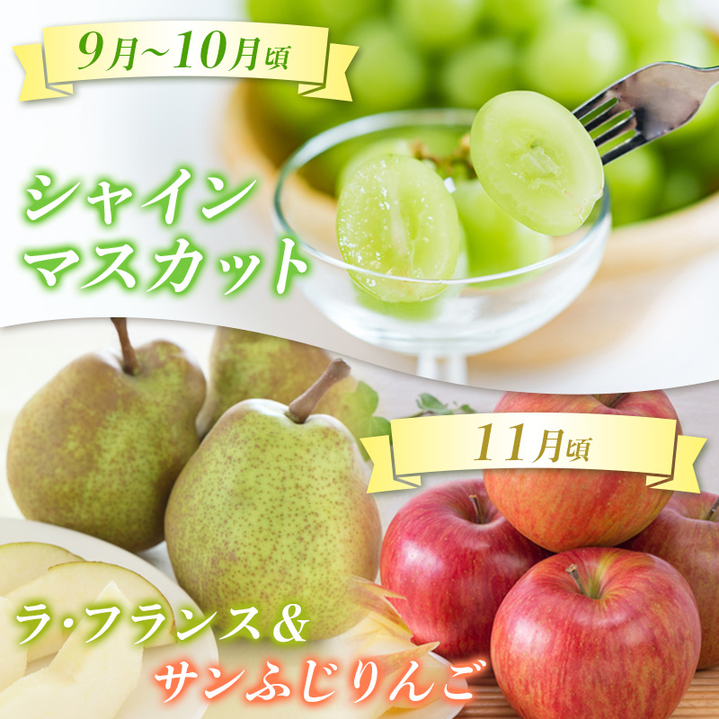 【定期便4回】☆んま～い山形☆5種フルーツ！4回楽しむ！