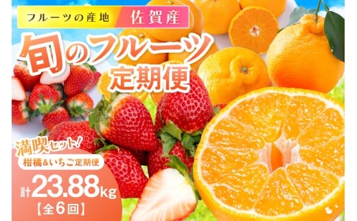 佐賀産 旬のフルーツ定期便 満喫セット【全6回】 柑橘 いちご　999-B870