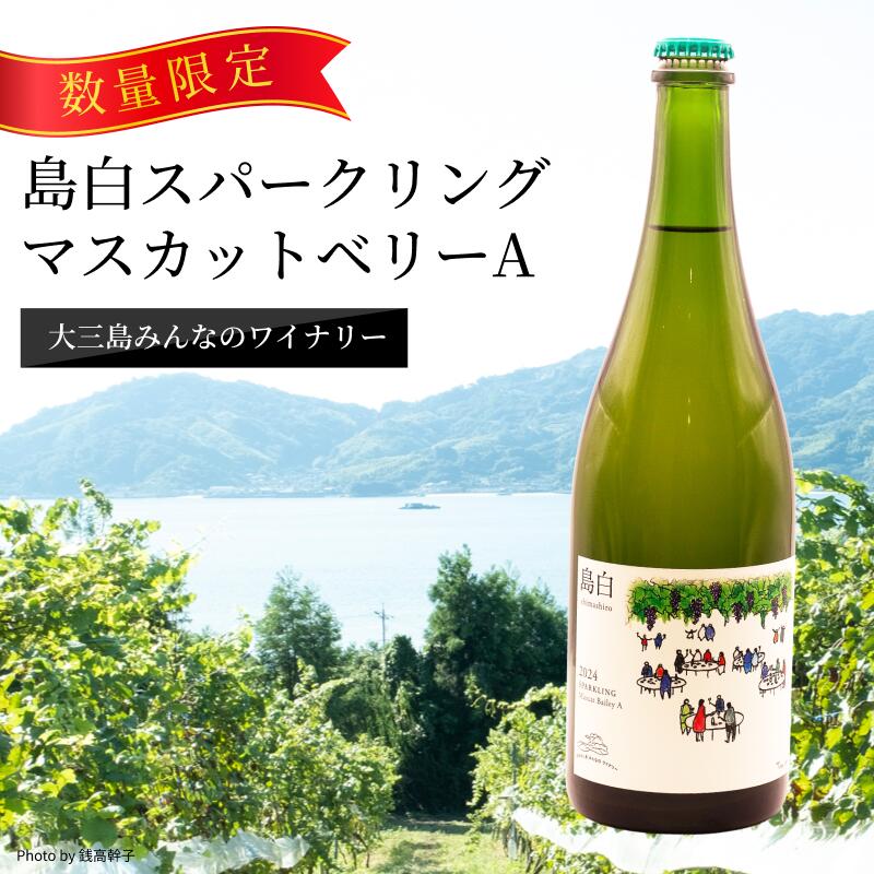 【ふるさと納税】【数量限定】島白スパークリング＜750ml＞【V003320】ふるさと納税 今治市 今治 大三島 今治産 お酒 洋酒 果実酒 ワイン スパークリングワイン ワイン好き 爽やか ギフト プレゼント ワイナリー 伊東豊雄 大三島みんなのワイナリー