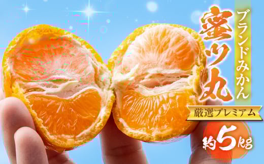 ≪先行予約≫こだわり蜜柑 蜜ツ丸 厳選プレミアム 約5kg  レギュラー箱入 マルカワ園芸 みかん こだわりみかん おみかん屋 ミカン mikan 蜜柑