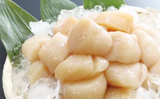 
            B-32058 【北海道根室産】ホタテ貝柱500g
          