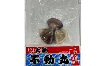 ﾚﾝｼﾞでﾁﾝ!  九十九里産 酒蒸し蛤 (冷凍) 8袋（175‐200g/3個入り/1袋） 冷凍はまぐり 冷凍  蛤 蛤 蛤 蛤 蛤