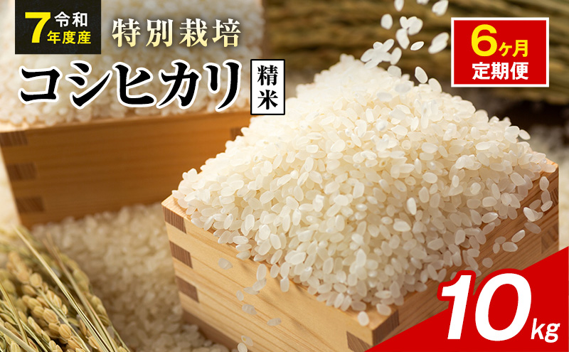 令和7年産 特別栽培米 コシヒカリ 白米 10kg 静岡県産 色彩選別済 食に意識高い方へオススメ 6ヶ月定期便
