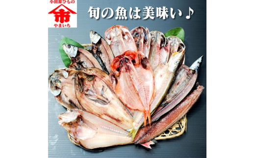 
おまかせ干物セット 2倍セット【惣菜 魚 干物 ひもの お取り寄せ 御中元 お中元 お歳暮 父の日 母の日 贈り物 家庭用 自宅用 贈答品 贈答用 ギフト 定番 神奈川県 小田原市 】
