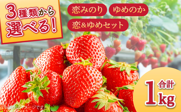 
            【2025年1月〜発送】【セット内容が選べる】 いちご 2種類 食べ比べ 約250g×4P / ゆめのか こいみのり イチゴ 苺 果物 フルーツ / 南島原市 / JA島原雲仙東南部基幹センター[SAC006]
          