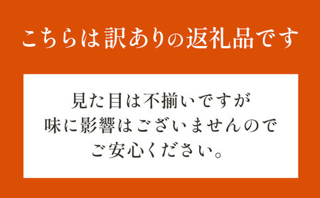 【先行予約・訳あり】茨城県結城市産枝豆「湯あがり娘」3kg（茶豆味）