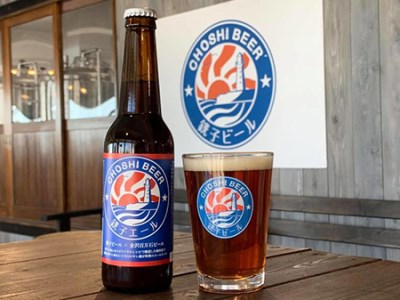 クラフトビール 24本セット ビール
