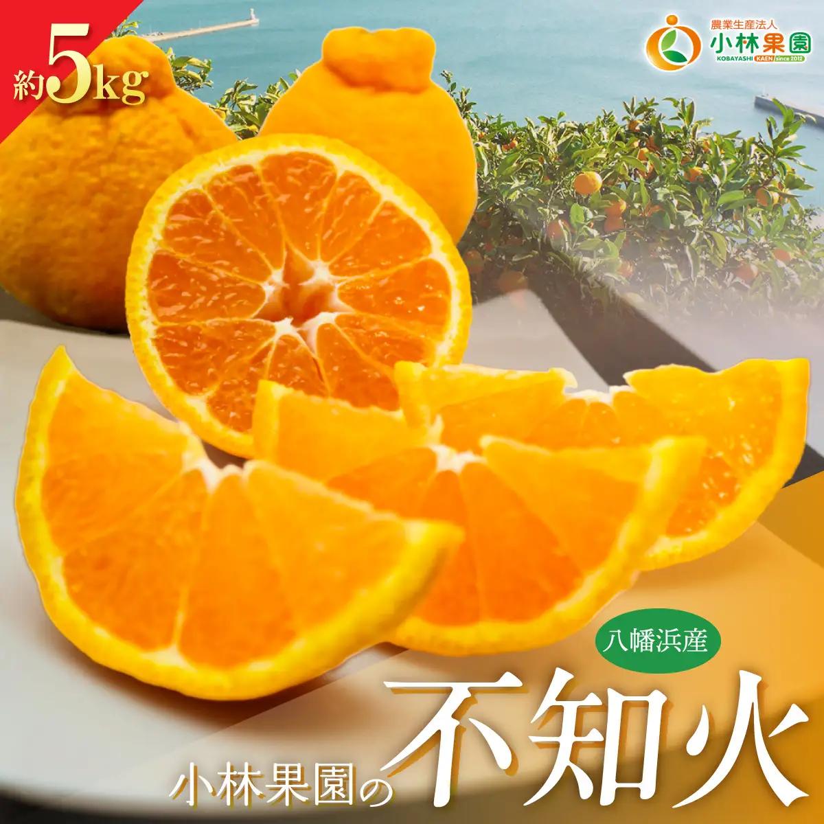 【先行受付】小林果園の不知火(約5kg)【C24-20】【1124426】 YWTAD013