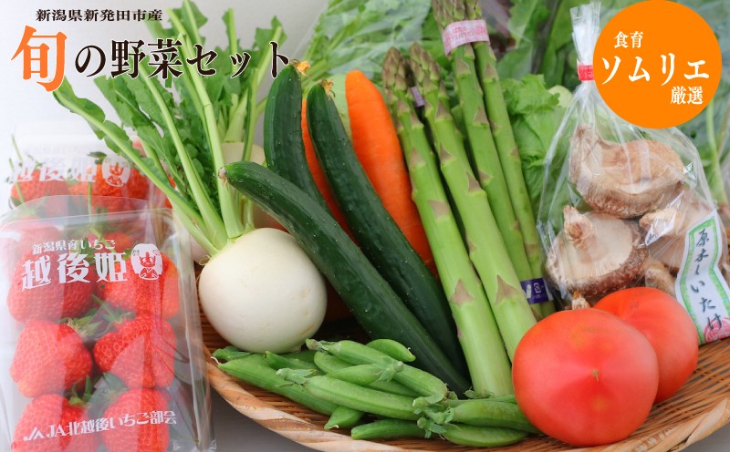 
                  野菜 旬 新鮮 セット 食べ比べ 詰め合わせ 新潟県産 新発田産 産地 直送 鮮度 食育 ソムリエ 厳選 選りすぐり  おまかせ 季節 旬 国産 やさい 特産品 ヤサイ 季節の野菜 果物 新潟県 新発田市 ( キャベツ アスパラガス 山菜 枝豆 トマト ナス いちじく かぼちゃ さといも オータムポエム ほうれん草 原木 しいたけ )
                
