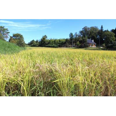 ふるさと納税 庄原市 令和7年産　新米　広島県庄原市産　あきさかり(玄米) |  | 03