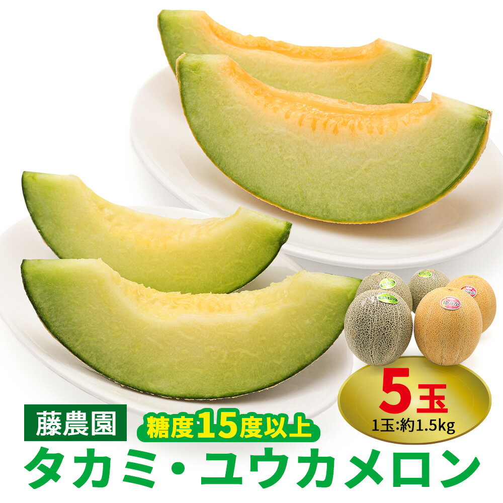 【ふるさと納税】メロン [タカミ] [ユウカ] 5玉セット｜青森産 産直 2025年産 令和7年 夏 めろん 果物 フルーツ 旬 特産 藤農園 農福連携 先行受付 [0624]
