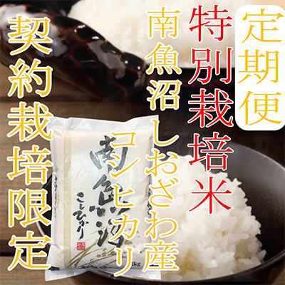 ふるさと納税 南魚沼市 【発送月固定定期便】【特別栽培米2Kg】生産者限定 南魚沼しおざわ産コシヒカリ全3回