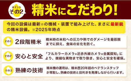 令和6年産 森のくまさん 白米 10kg 5kg×2袋 計12回お届け 《お申し込み月の翌月から出荷開始》 お米 こめ 熊本県産 ご飯 備蓄
