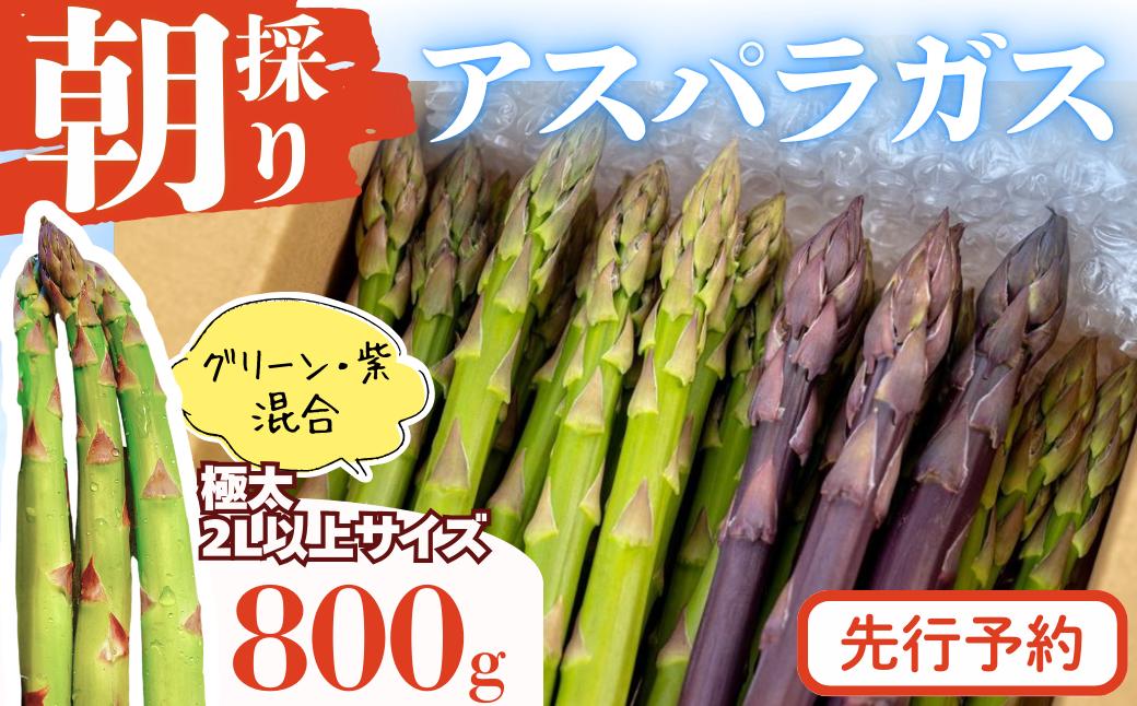 
                  【先行予約5/31迄】【限定30】やまに農産「朝採りアスパラガス」800g（2L以上サイズ）
                
