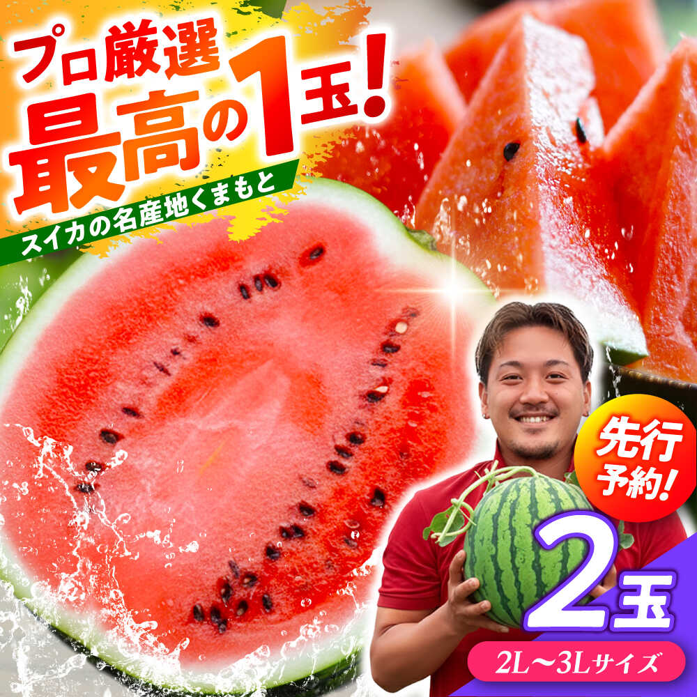 【ふるさと納税】【先行予約】 厳選 2玉！ 大玉スイカ！2L〜3Lサイズ（1玉 約7kg〜9kg）すいかの名産地 熊本からお届け 【城野農園】[ZFV004]