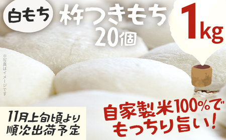 【ふるなびWEEK対象】白もち 杵つき 20個 1kg 自家製米 餅 お雑煮 おしるこ ぜんざい FN-Limited-PR