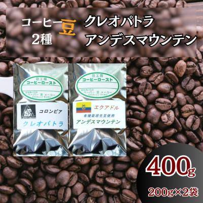 ふるさと納税 伊勢原市 コーヒー豆2袋(クレオパトラ/アンデスマウンテン)