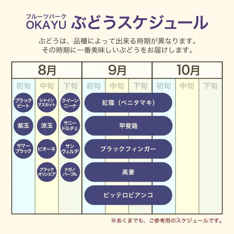 【先行予約】【訳あり】10月特選 ぶどうセットM 1kg以上（2～3房）／ 葡萄 シャインマスカット 完熟 ゴールデン シャイン 品種 おまかせ あわら 農家おすすめ ※2026年10月より順次発送 
