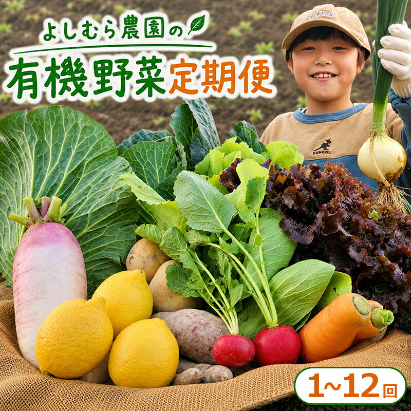 【ふるさと納税】 野菜 定期便 詰め合わせ 10種 1回 2回 3回 4回 6回 12回 よしむら農園 オーガニック 有機 有機野菜 やさい 訳あり ベジタブル おまかせ セット 一人暮らし おすすめ レタス とうもろこし トマト 有機栽培 JAS 栄養 国産 旬 人気 新鮮 今が旬 香川県 丸亀市