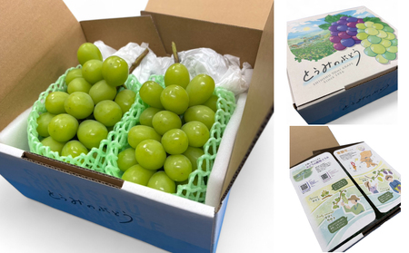 蔵出し！贅沢シャインマスカット2房（1.1kg以上）｜冬のシャインマスカット 長野県　シャインマスカット 東御市　シャインマスカット 信州　シャインマスカット